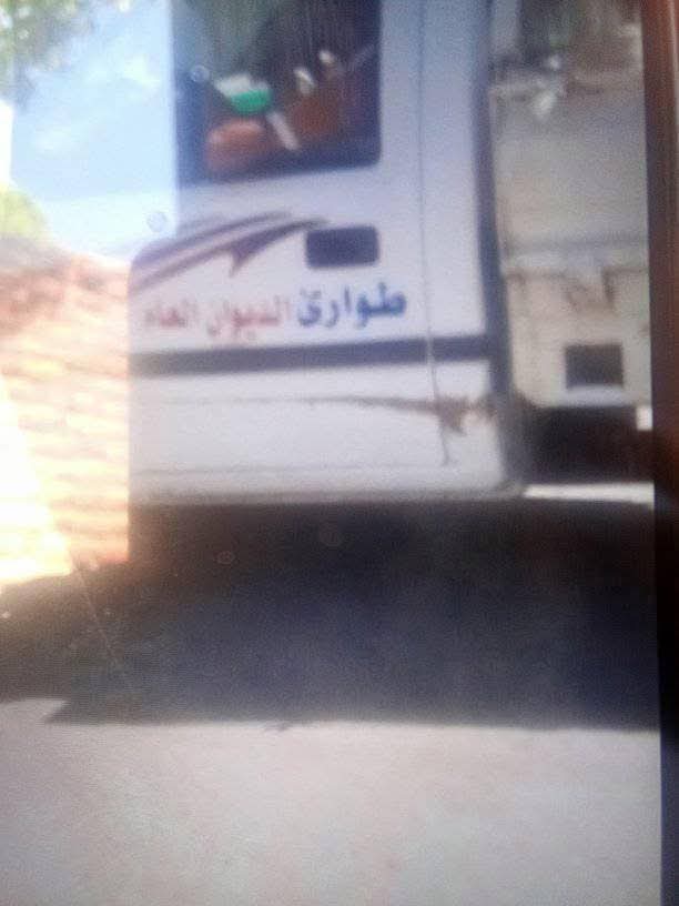 الصور المتداولة 