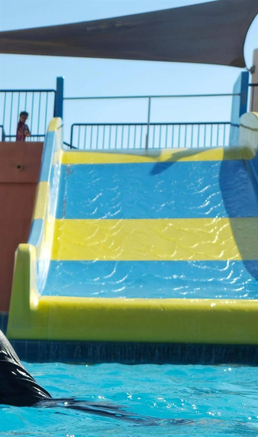 حمام السباحة