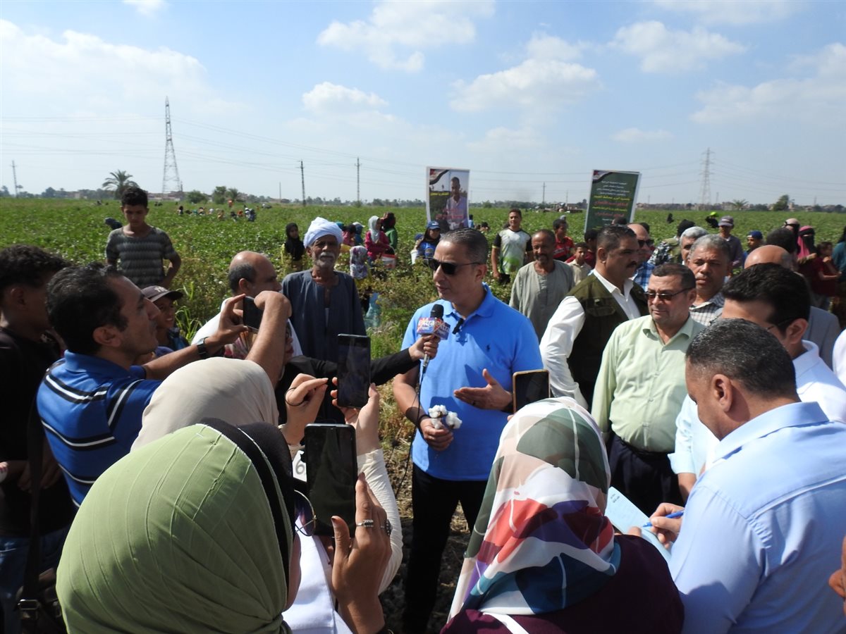 محافظ الفيوم يفتتح موسم جني القطن بأحد الحقول الزراعية بقرية رحمي