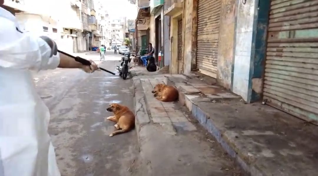 جهودها للوقاية من مرض السعار بحملات ميدانية مكثفة