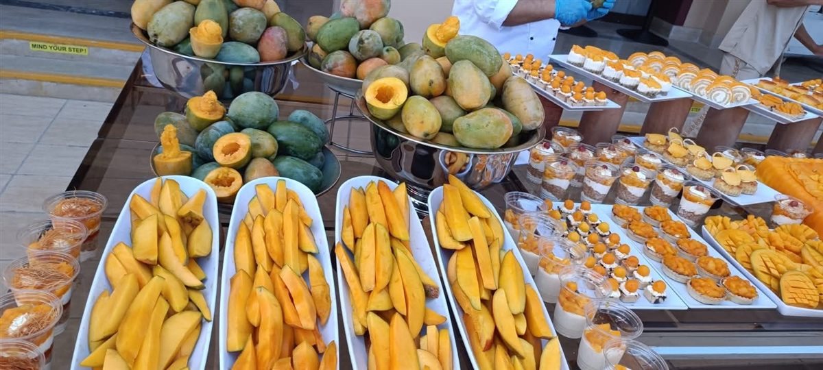 مهرجان المانجو على شواطئ فنادق مرسي علم 