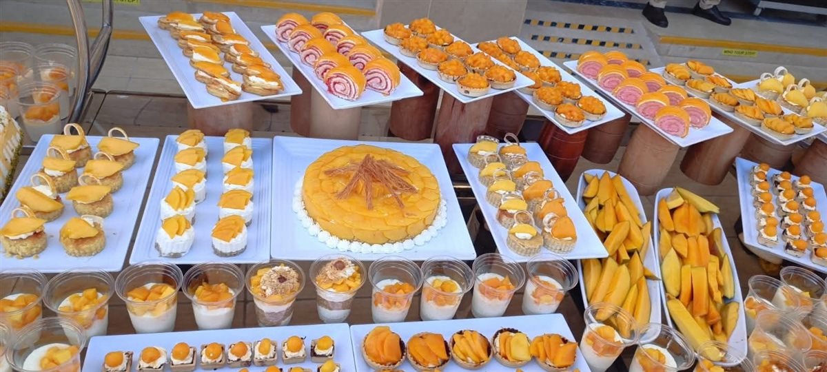 مهرجان المانجو على شواطئ فنادق مرسي علم 