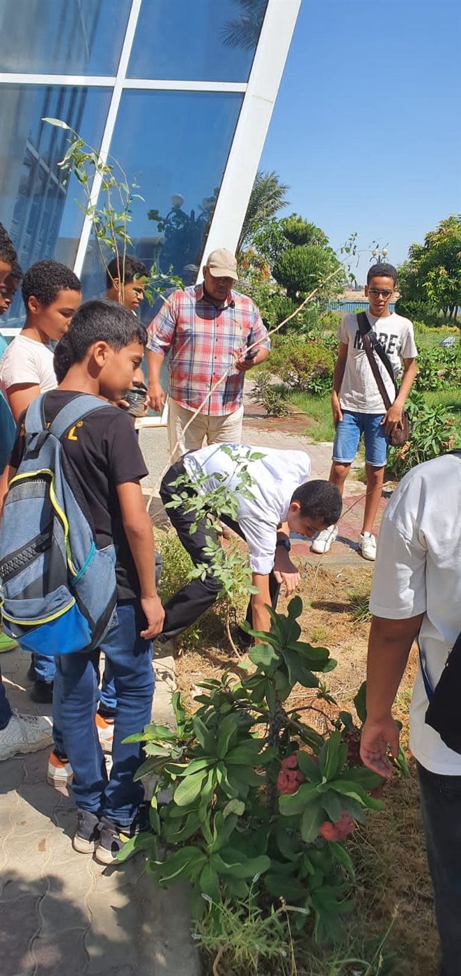 زراعة الأشجار