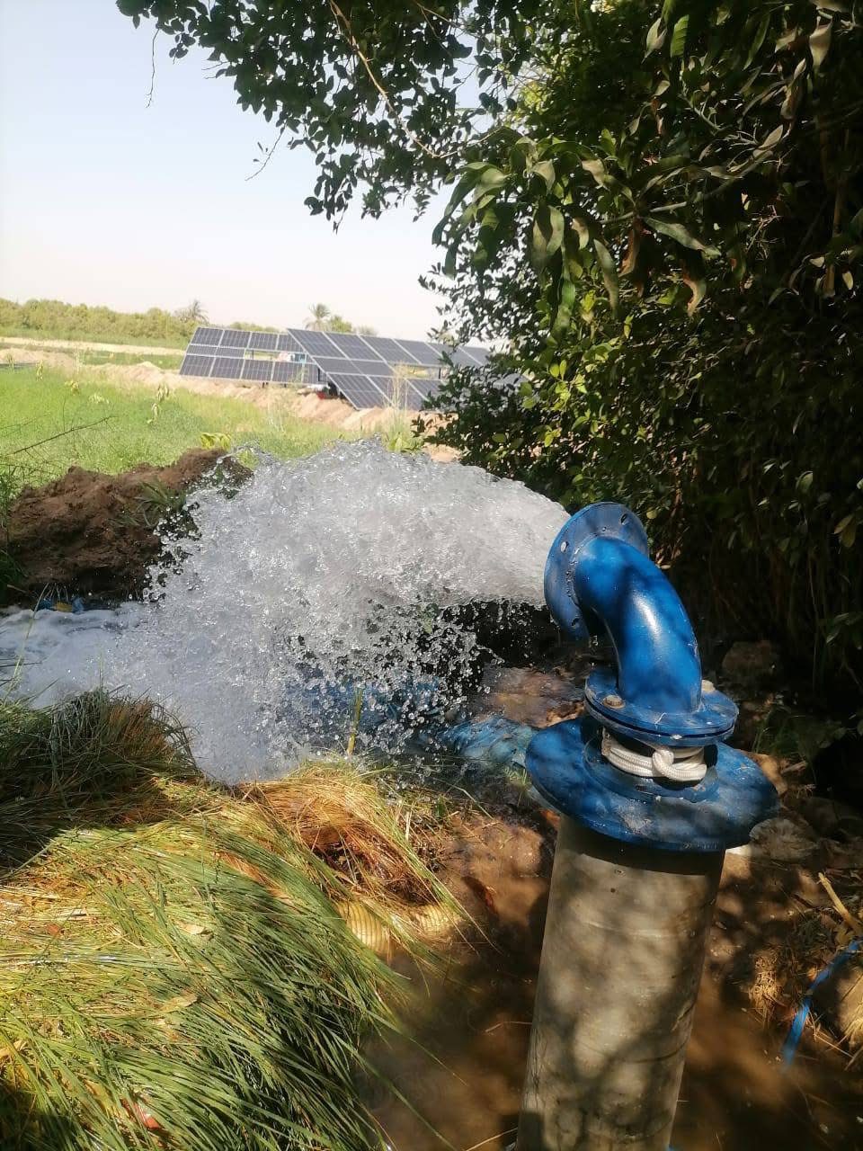 نموذج القرية الخضراء بالأقصر