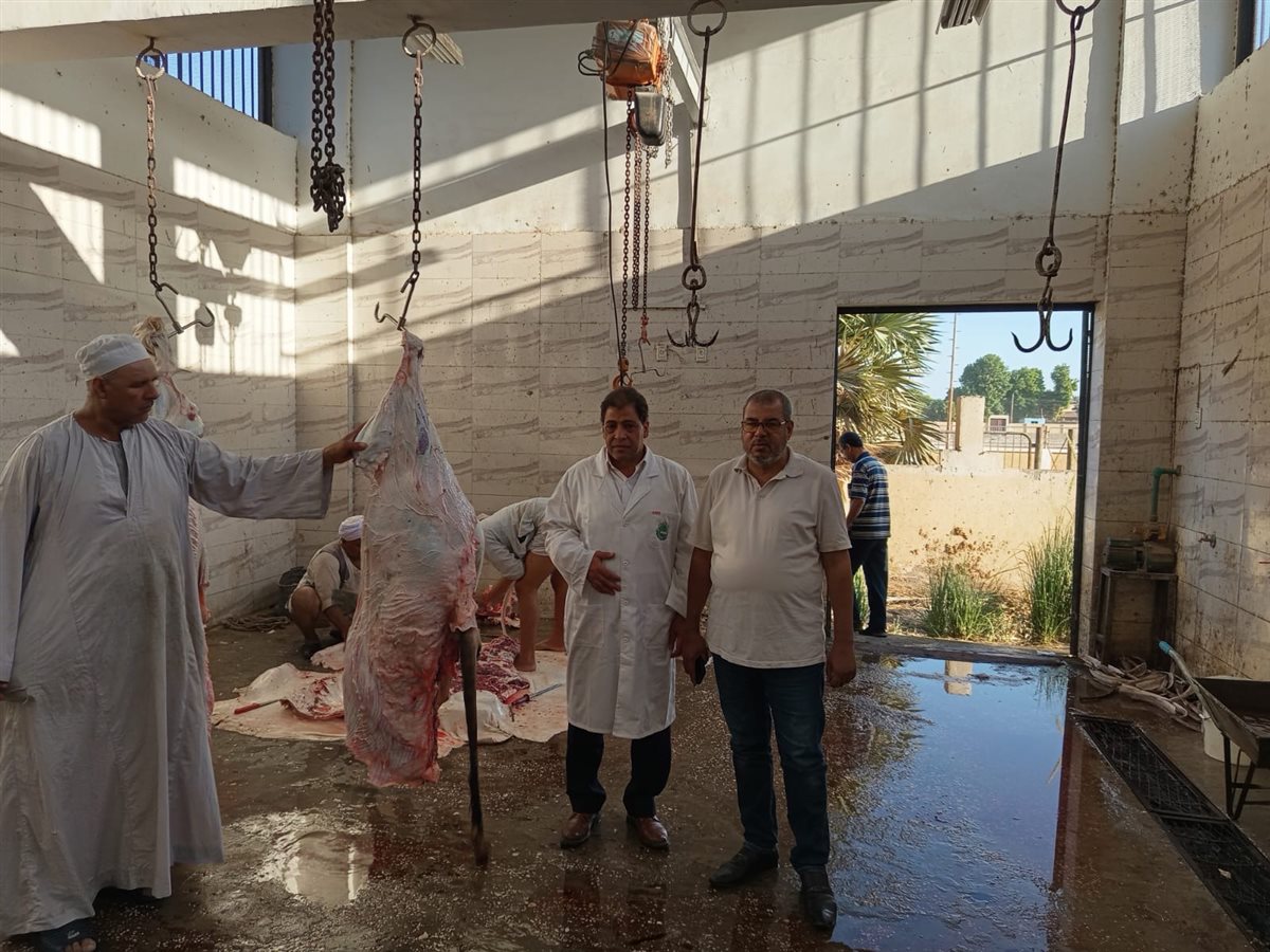 حملة للطب البيطري بالأقصر 