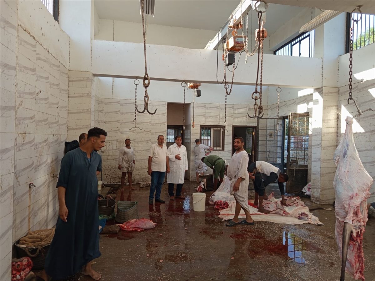 حملة للطب البيطري بالأقصر 