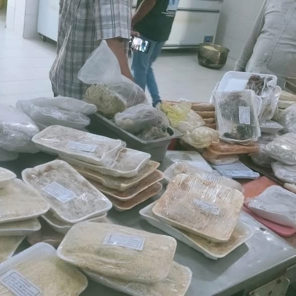 ضبط لحوم ودواجن فاسدة بالأقصر