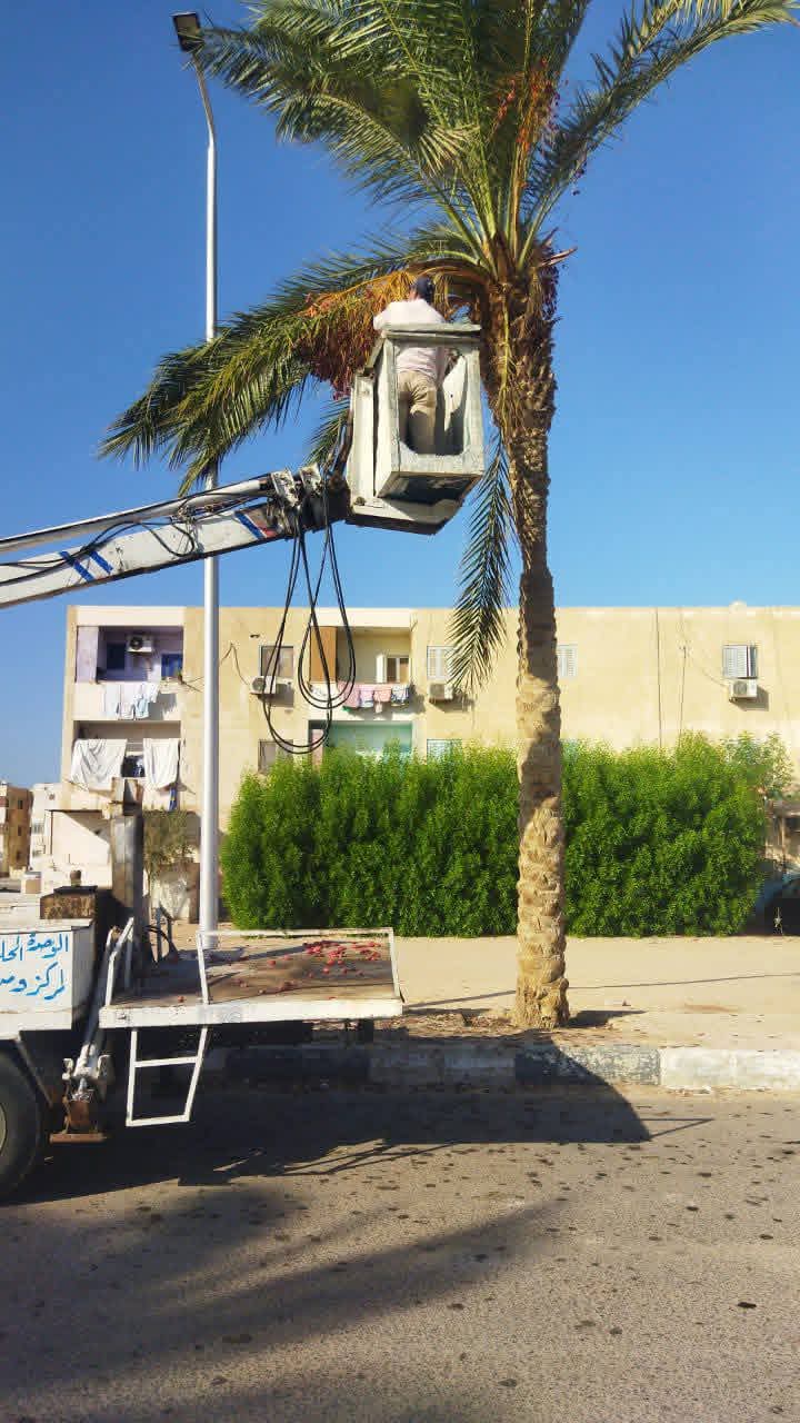 جانب من حملات النظافة