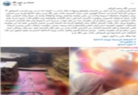 جانب من الفيديو المزعوم