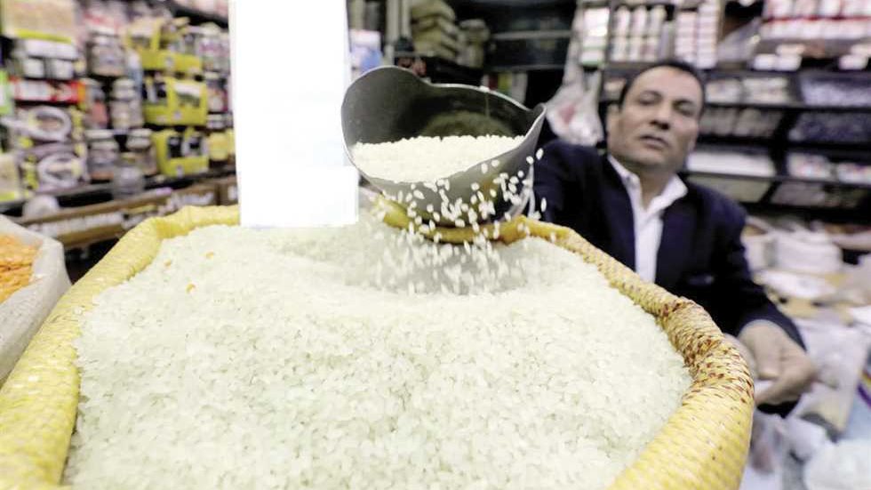 أسعار الأرز الشعير اليوم الجمعة