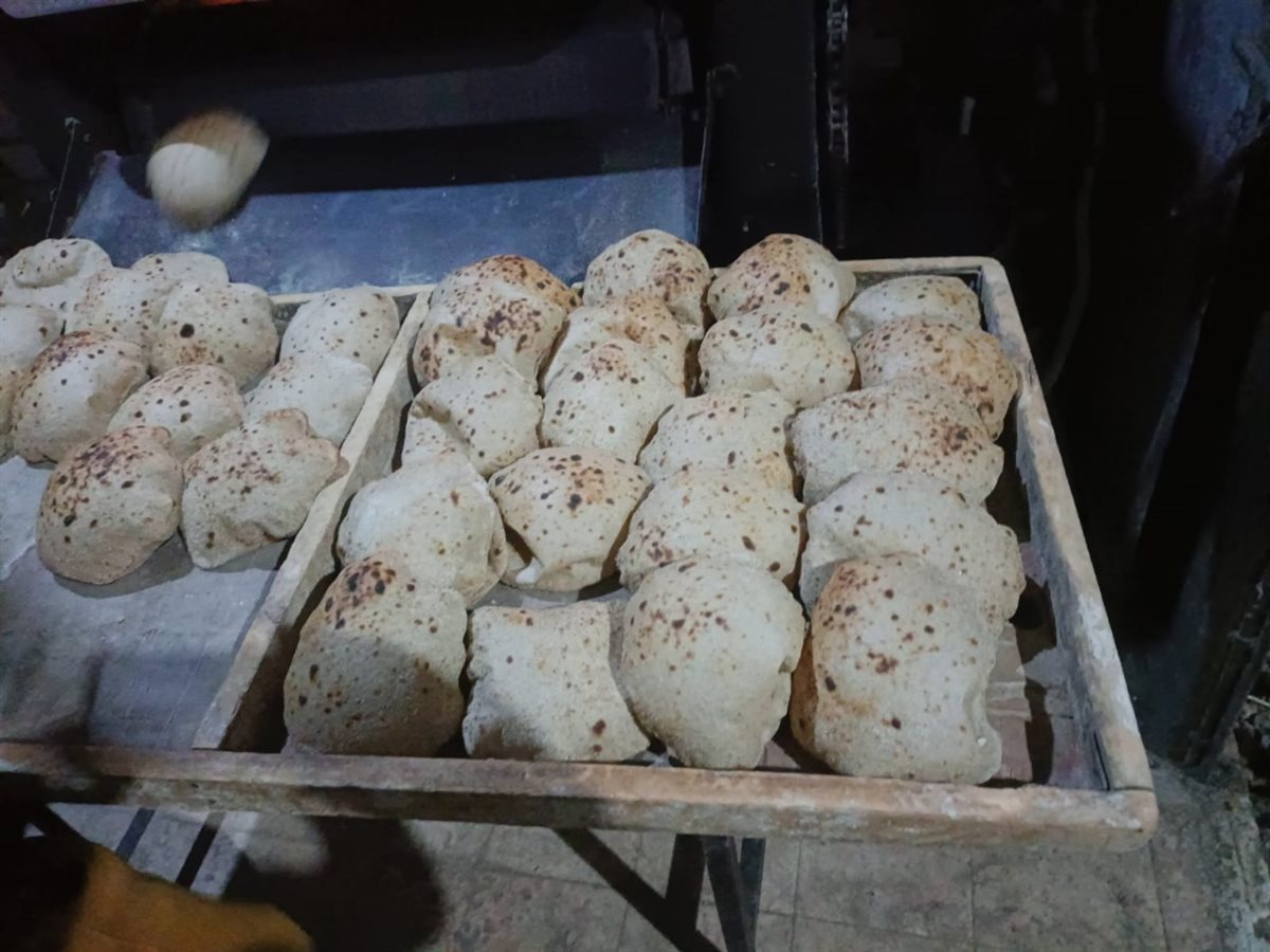 تموين الفيوم: ضبط 91 مخالفة تموينية متنوعة خلال حملات مكثفة