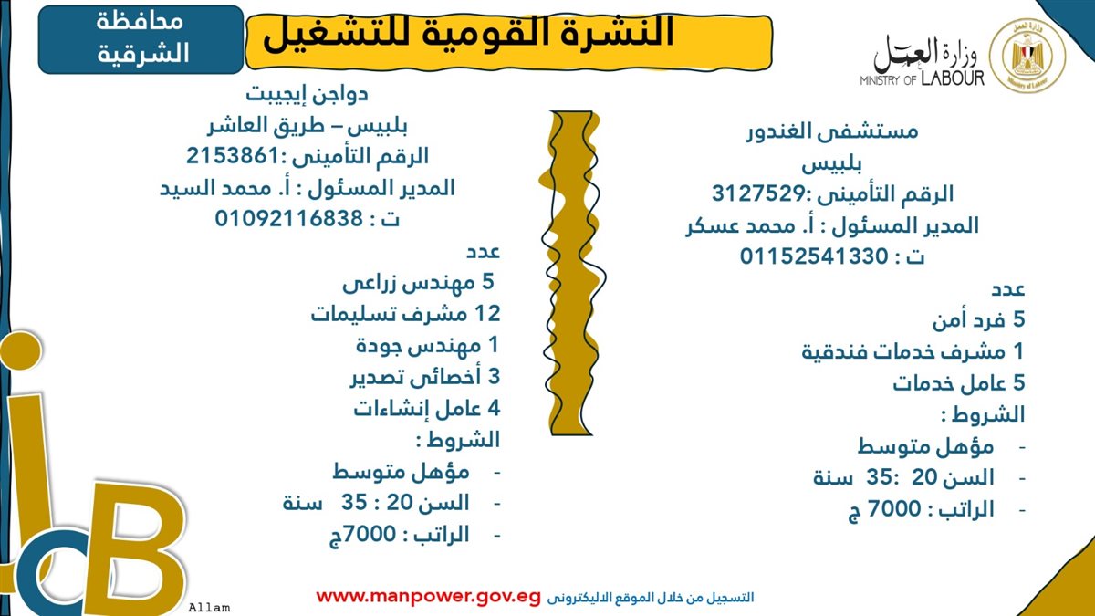 وظائف شاغرة متاحة الآن عبر وزارة العمل