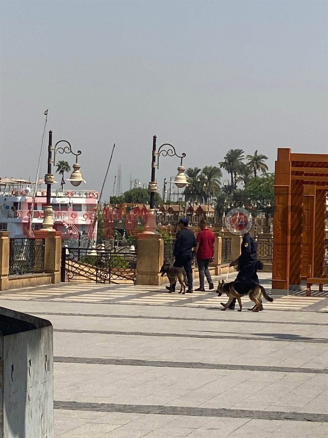 تمشيط كامل بالكلاب البوليسية لمديرية أمن الأقصر