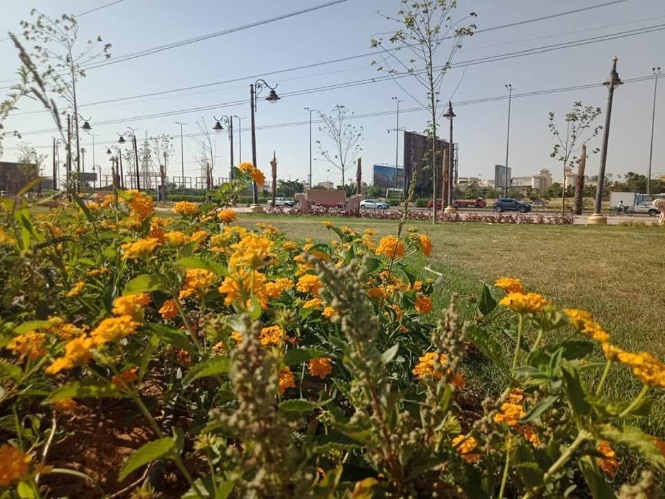 المسطحات خضراء بحدائق أكتوبر