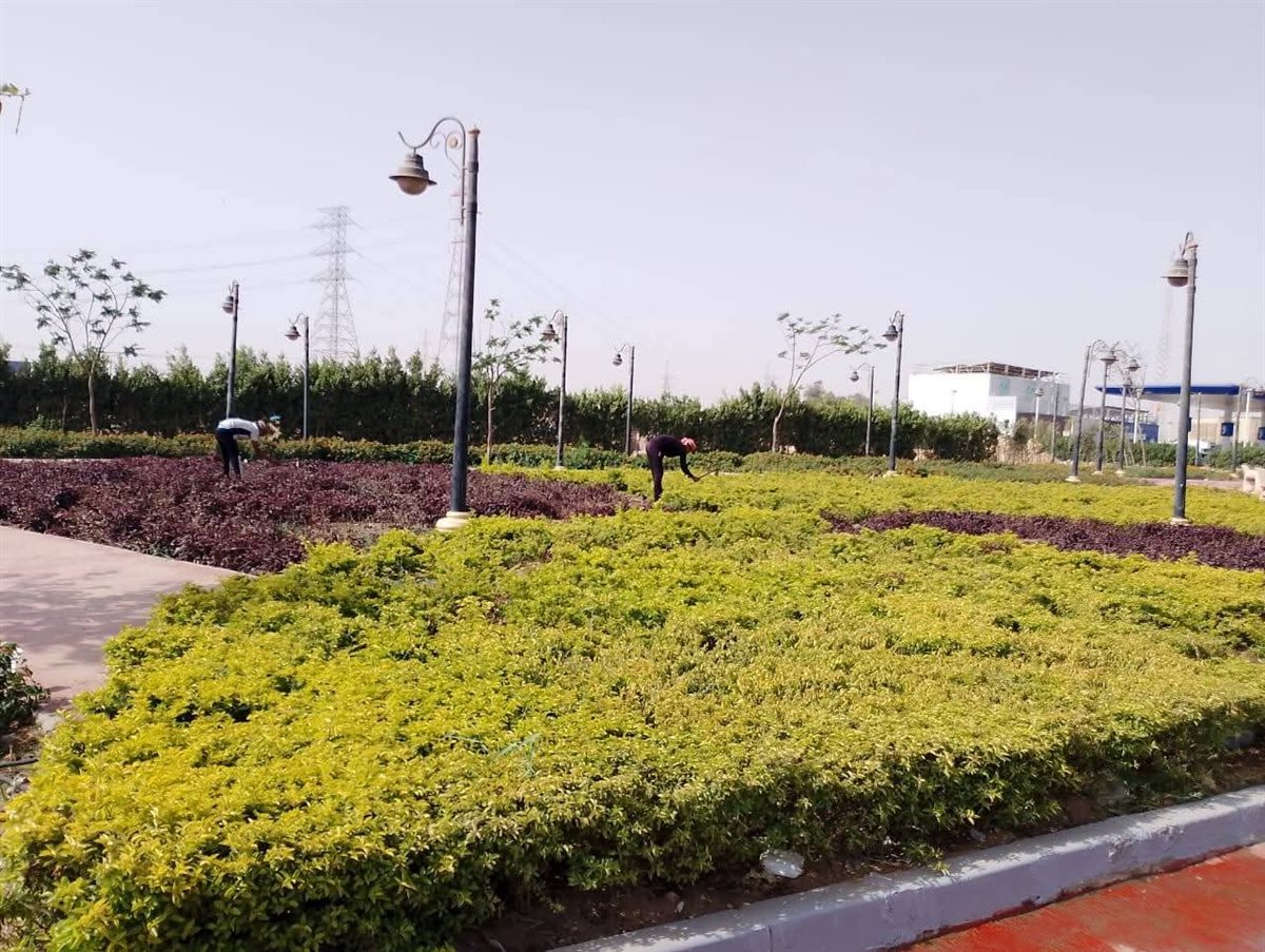 المسطحات خضراء بحدائق أكتوبر