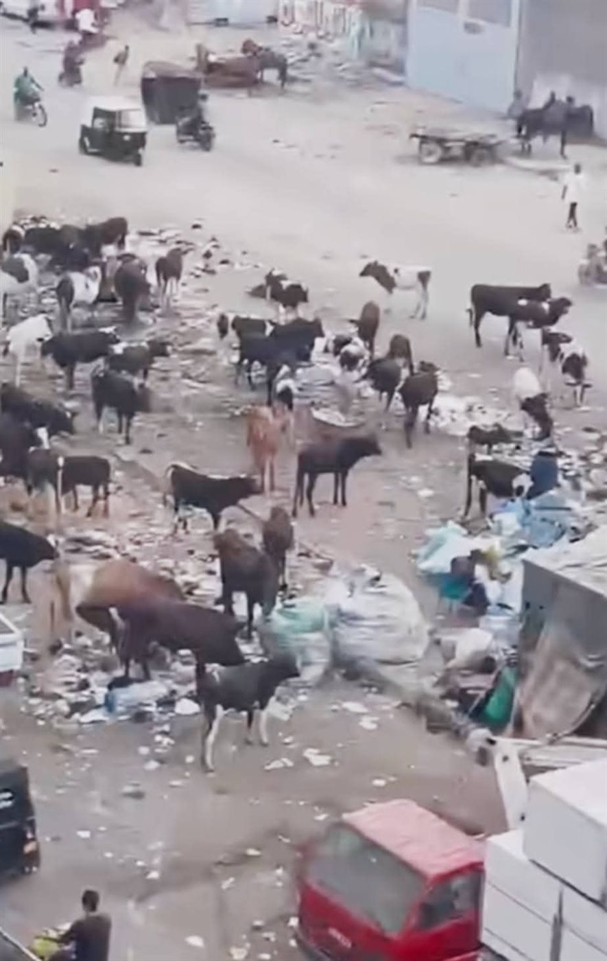 إهمال النائب مجاهد نصار للدائرة الانتخابية