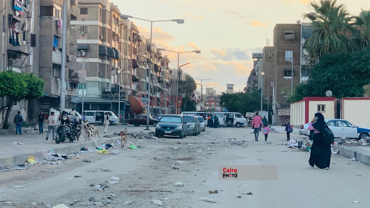 الكلاب الضالة وتجمعات القمامة في محيط المدارس ببورسعيد 