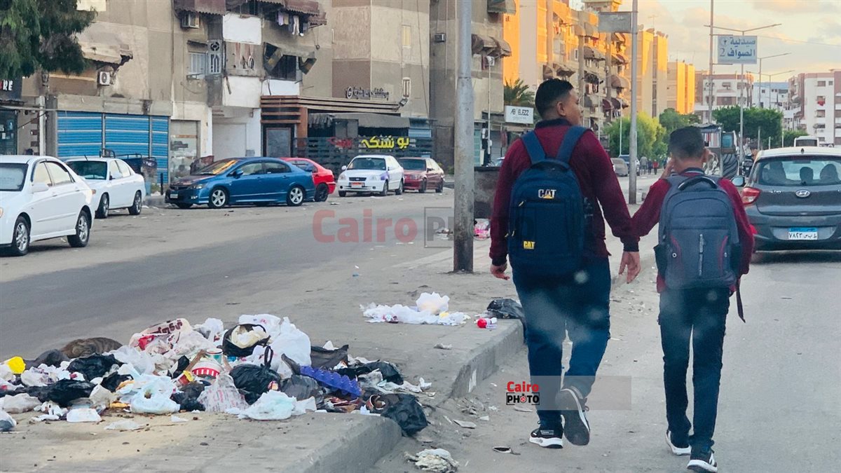 الكلاب الضالة وتجمعات القمامة في محيط المدارس ببورسعيد 