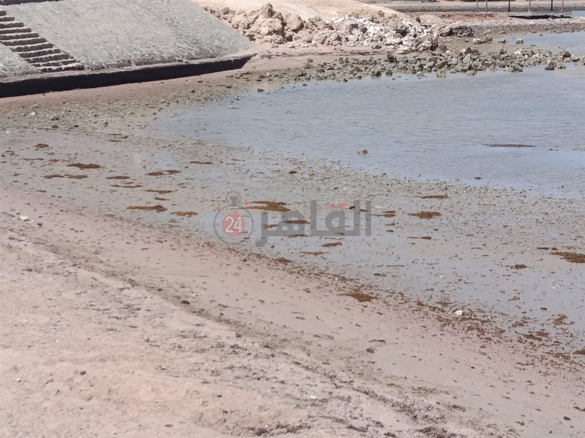 تراجع وانحسار لمياه البحر بالغردقة 