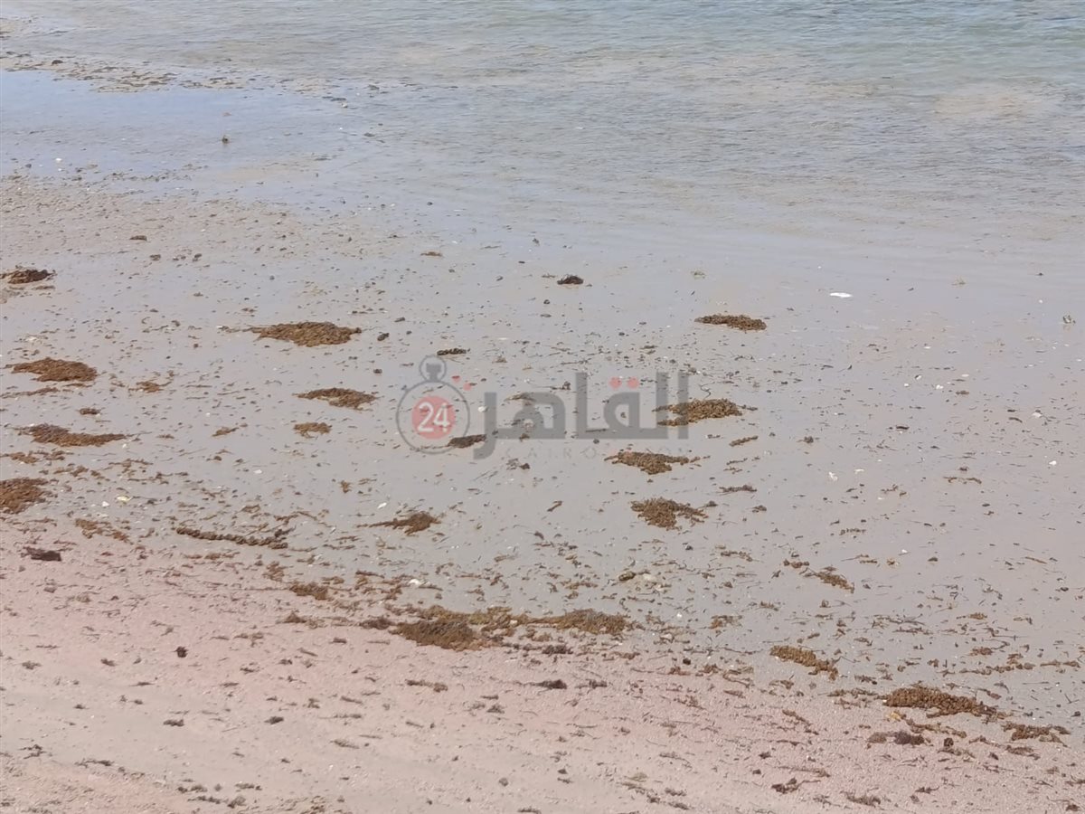 تراجع وانحسار لمياه البحر بالغردقة 
