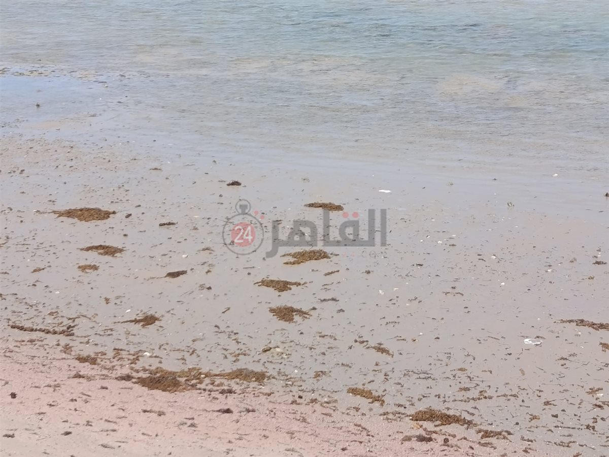 تراجع وانحسار لمياه البحر بالغردقة 