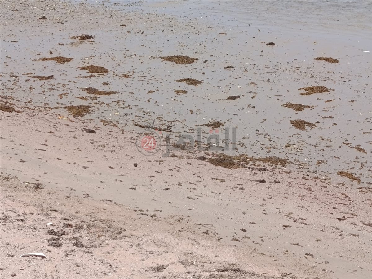 تراجع وانحسار لمياه البحر بالغردقة 