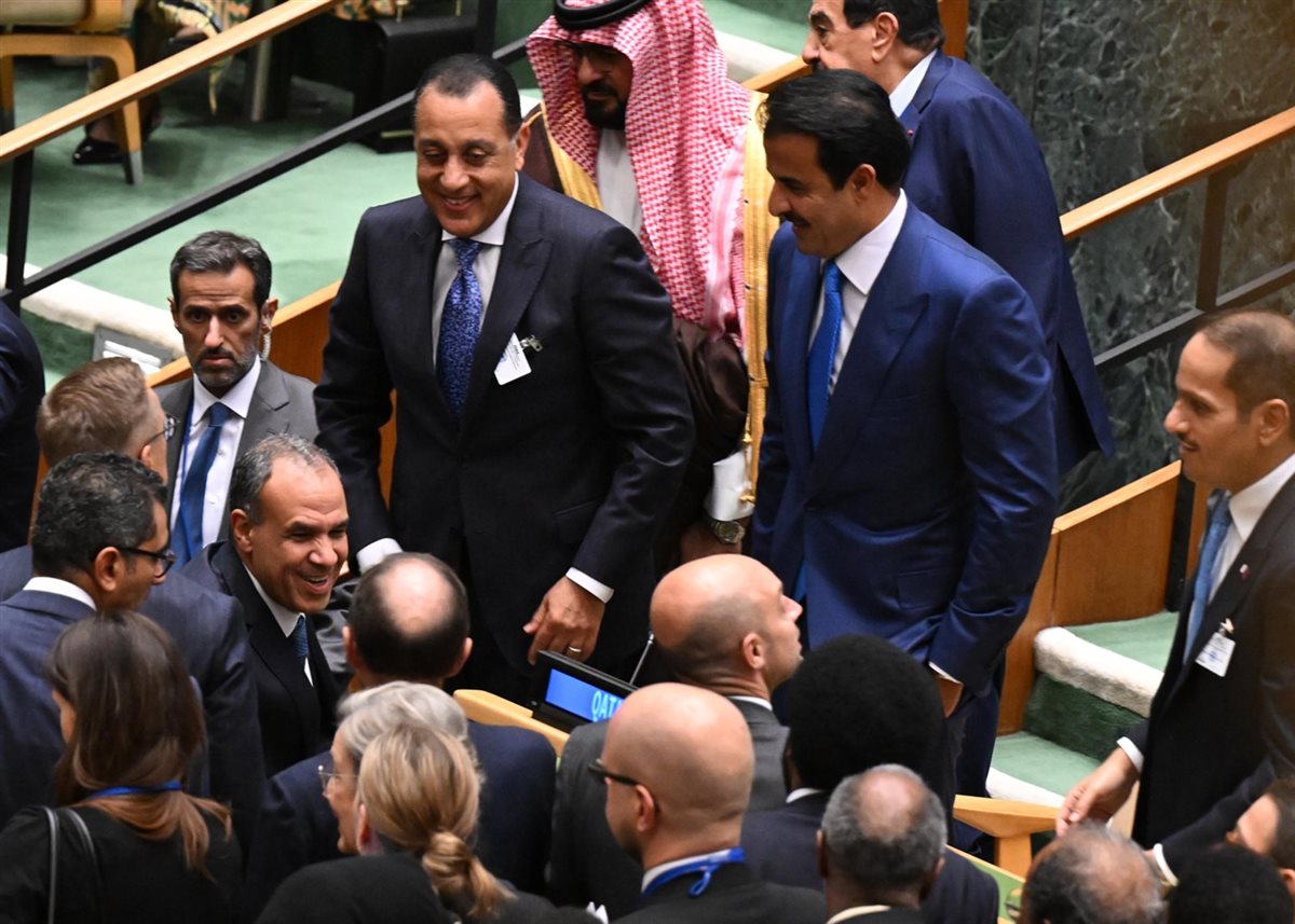 <strong>فرحة الوفد المصري بإعلان الرئيس ماكرون الاعتراف بفلسطين</strong>