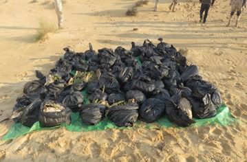 ضبط مزرعة مخدرات بقيمة مليار و600 مليون على مساحة 3.5 فدان بالإسماعيلية (3)