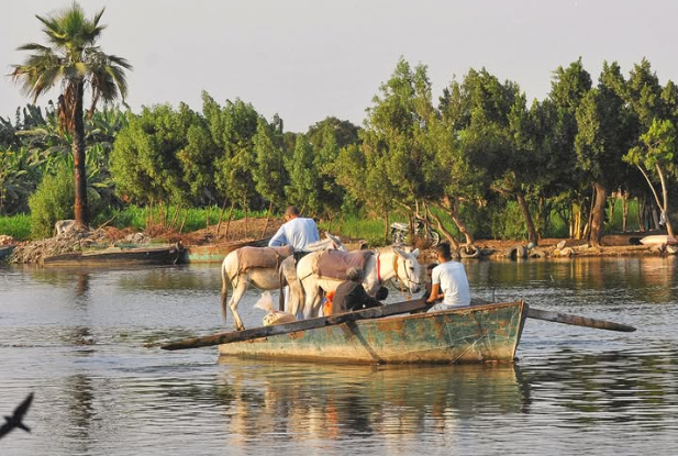  جزيرة القيراطين في الجيزة 
