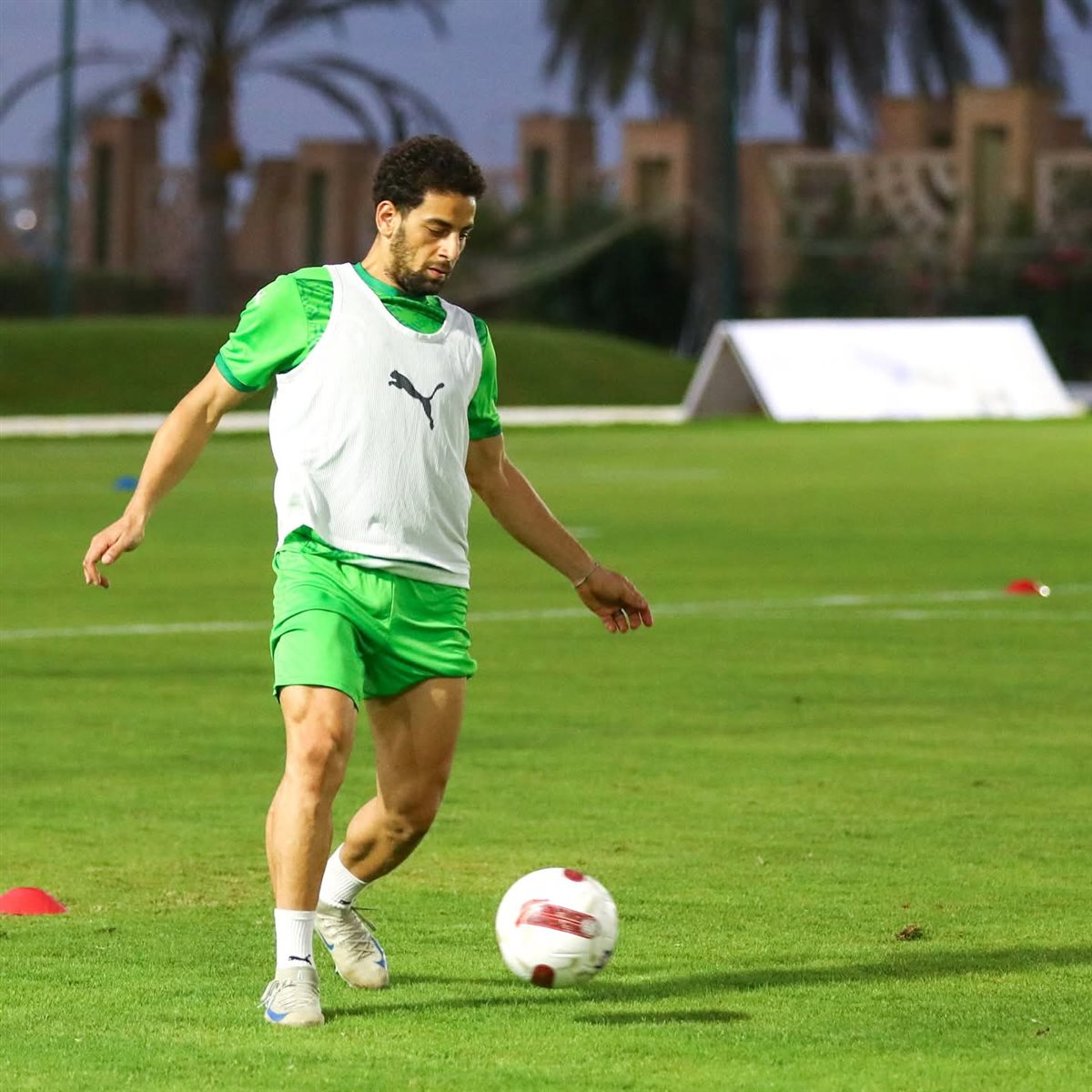 <strong>محمد الشامي </strong>