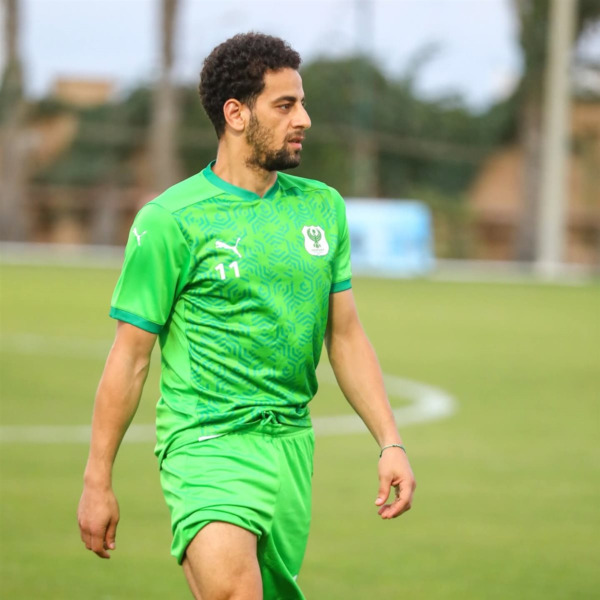 <strong>محمد الشامي </strong>