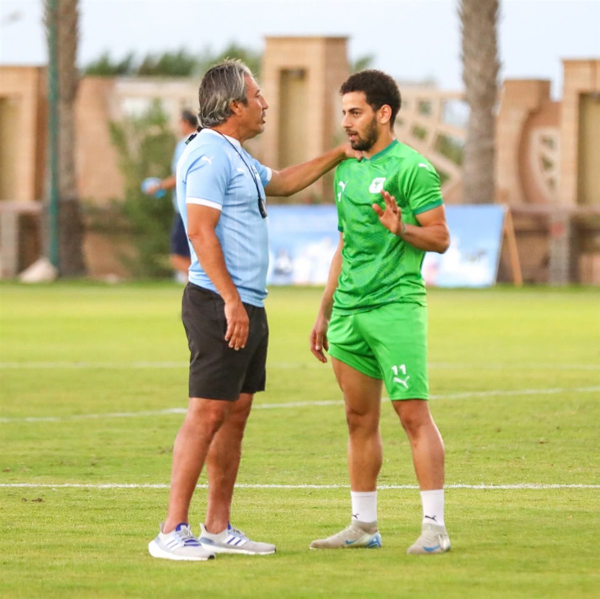 <strong>محمد الشامي </strong>