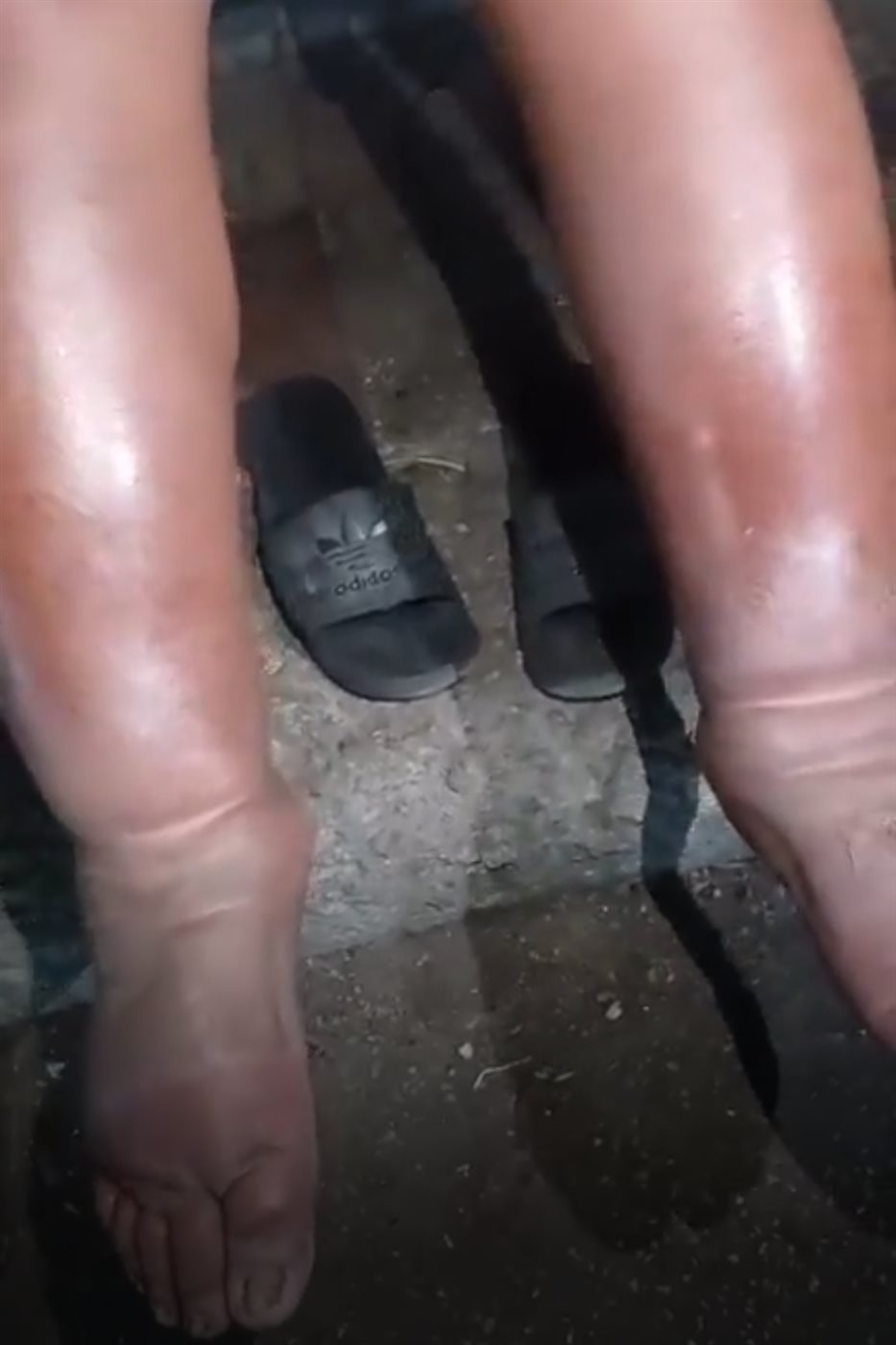 بطل المصارعة يوسف داوود 