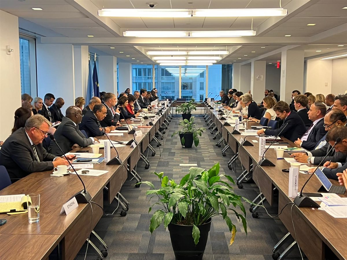 جانب من المشاركة 