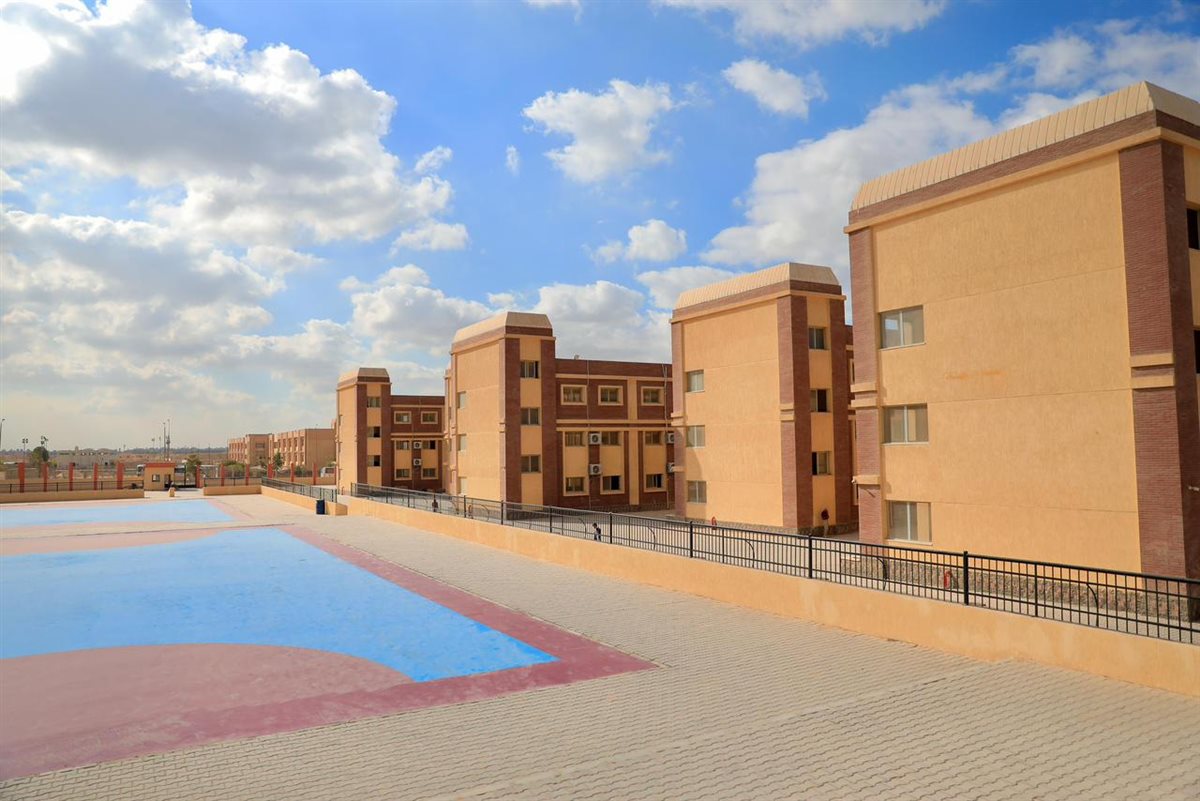 المدارس المصرية الألمانية