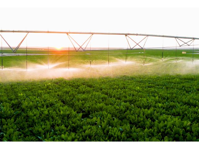 مشروعات جهاز مستقبل مصر