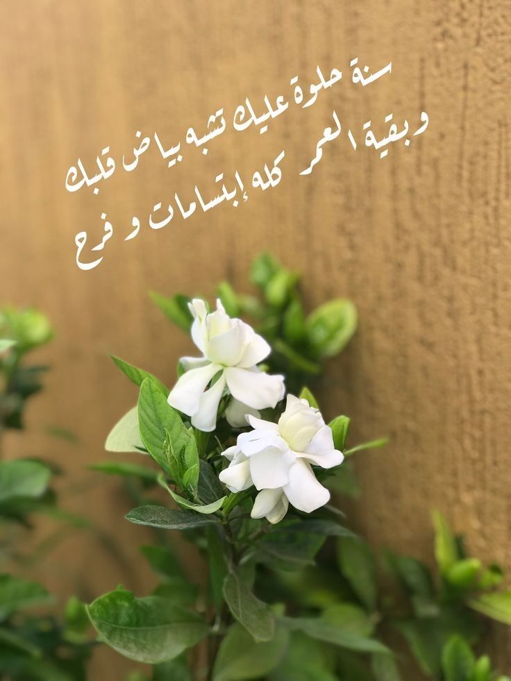 بوست عيد ميلاد صديقتي واتس آب