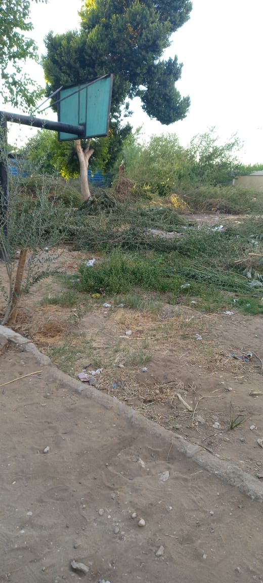 المدرسة من الداخل