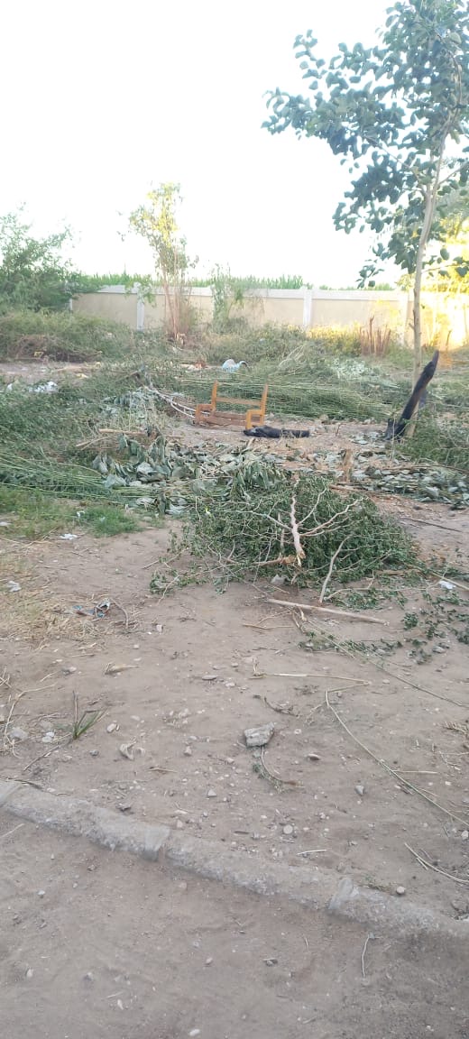 المدرسة من الداخل