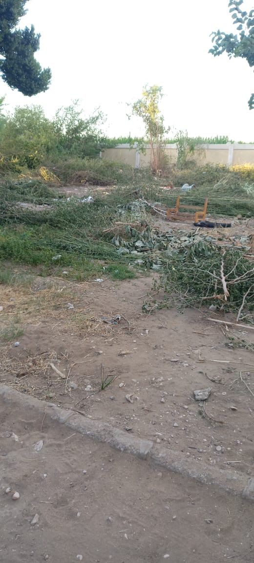 المدرسة من الداخل