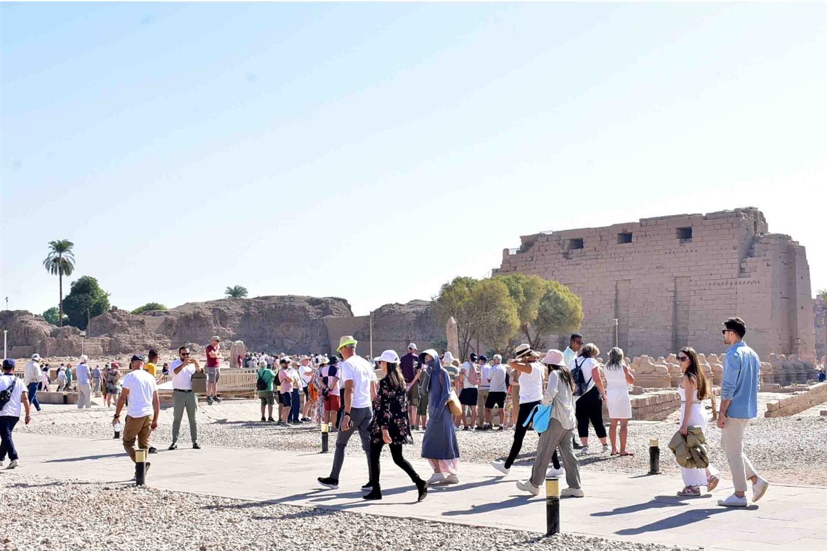 الجعران المقدس على ضفاف البحيرة المقدسة