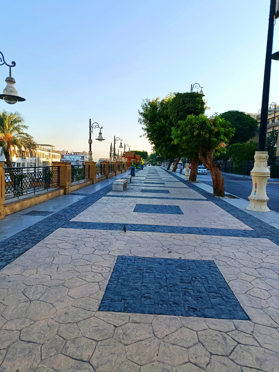 تجميل شوارع المدينة