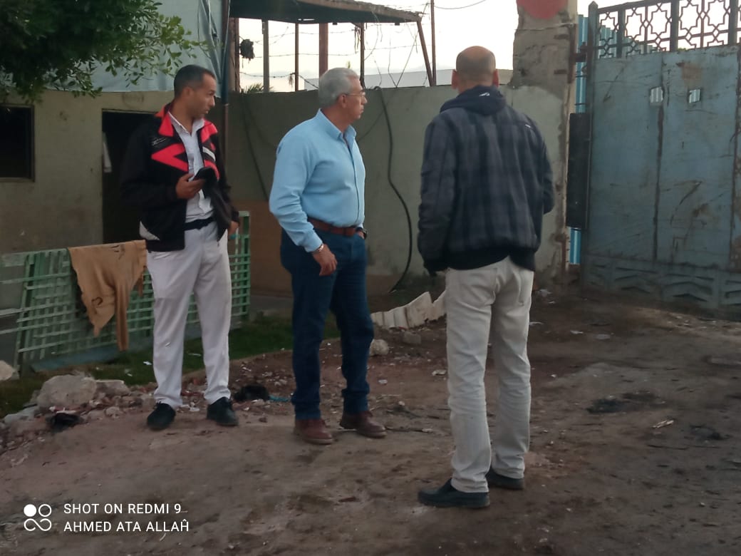 مصادرة الحيوانات الضالة بشوارع بورسعيد 