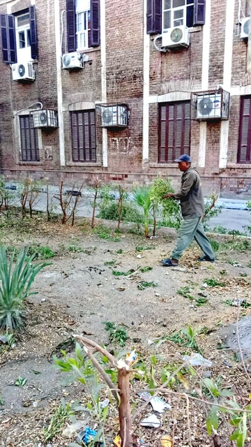 حملات نظافة