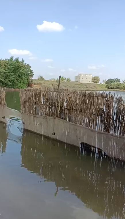 صور فيضان المنوفية