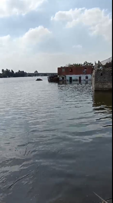 صور فيضان المنوفية