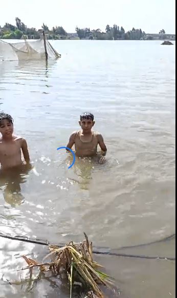 صور فيضان المنوفية