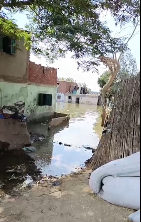 صور فيضان المنوفية