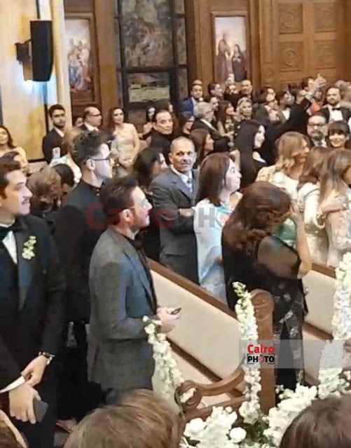 نجوم  الفن في حفل زفاف نجل هاني رمزي