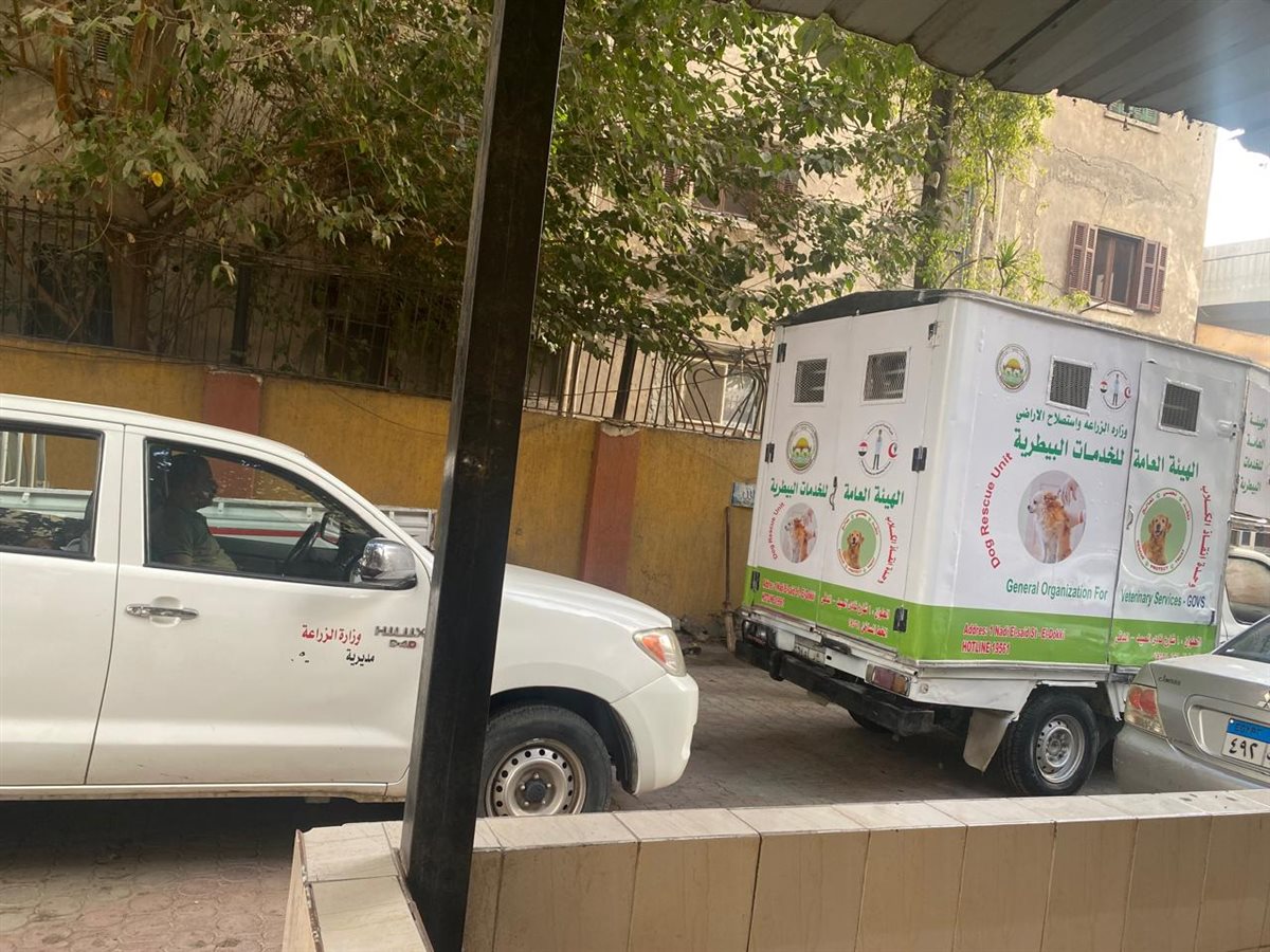  تطعيم وتعقيم الكلاب الحرة 